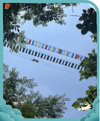 20250909163252128.png